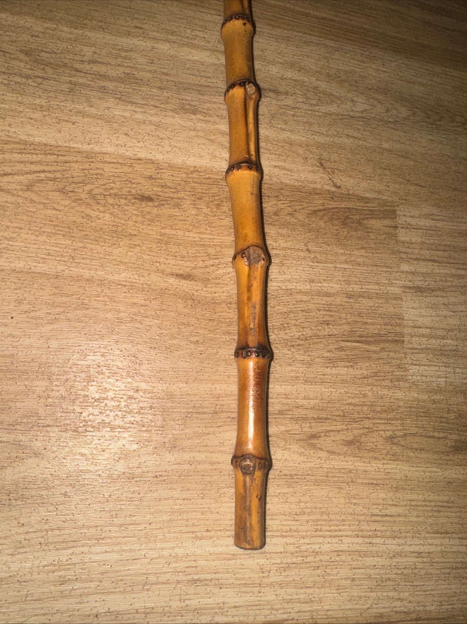 Bamboo Showing Cane 52cm
