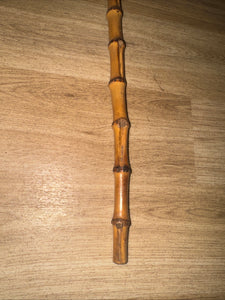 Bamboo Showing Cane 52cm