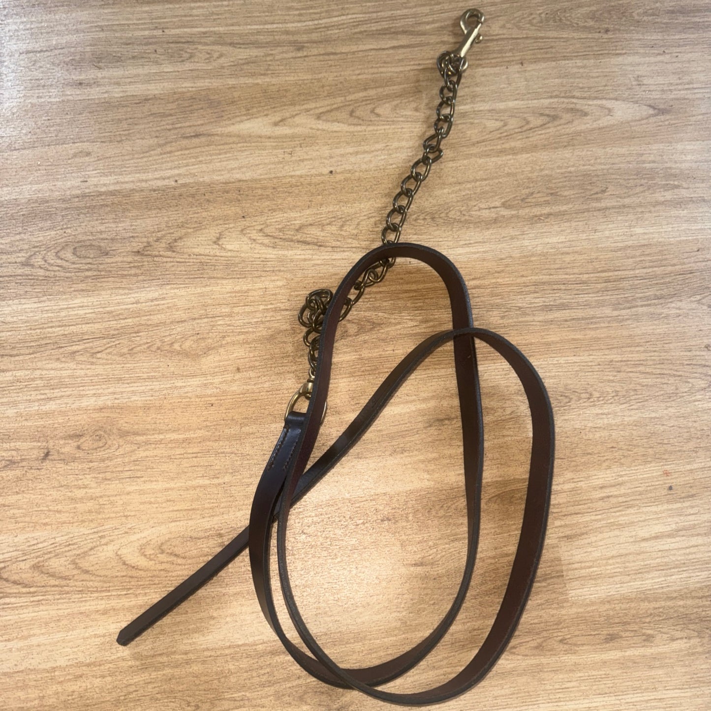 Jeffries Havana Brown English Leather Inhand Lead Wide Show Showing Horse #11