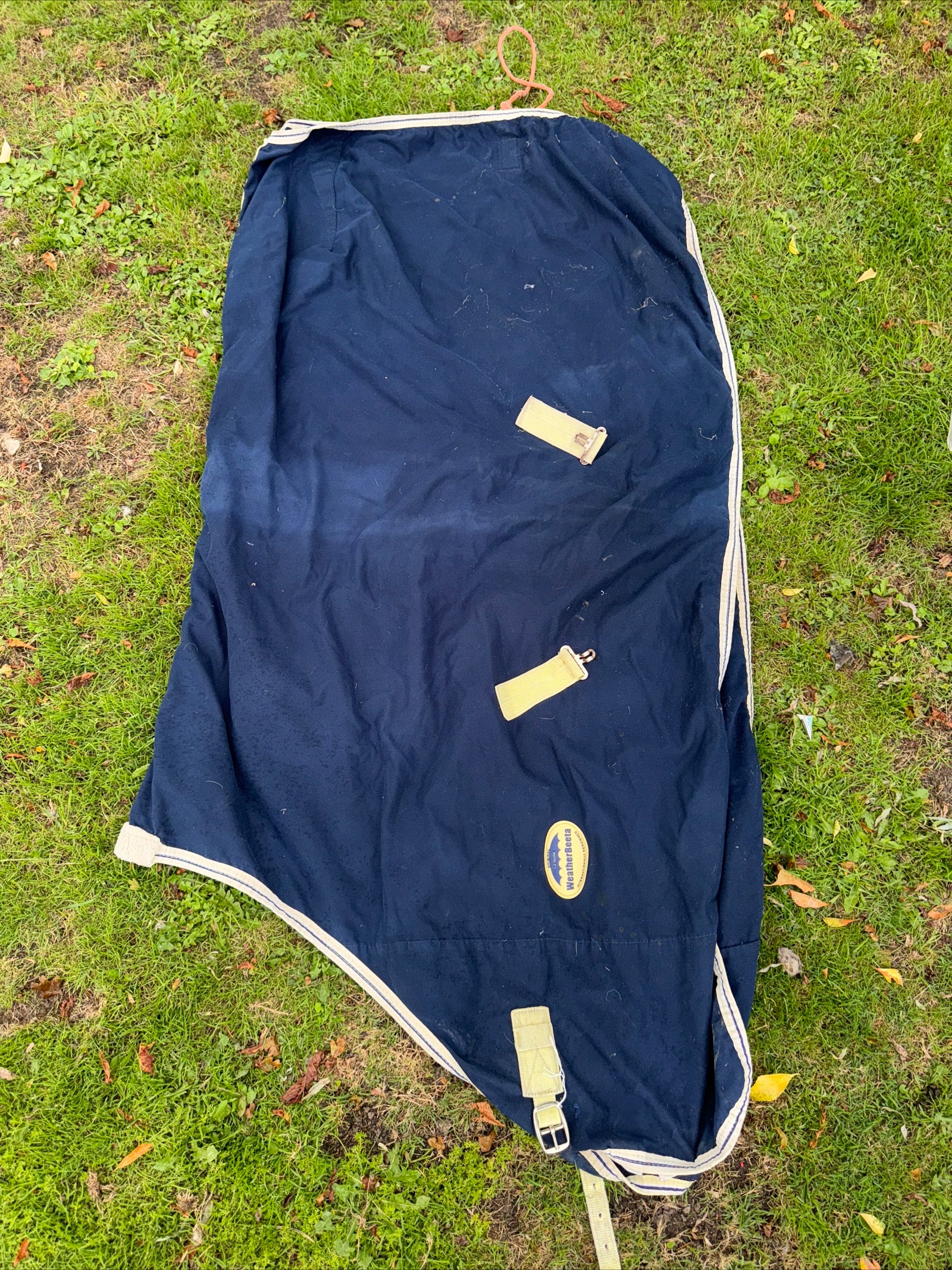 Weatherbeeta 5’9 Stable Sheet / Summer Rug Cotton D