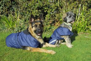 Rhinegold Highland Waterproof Dog Coat