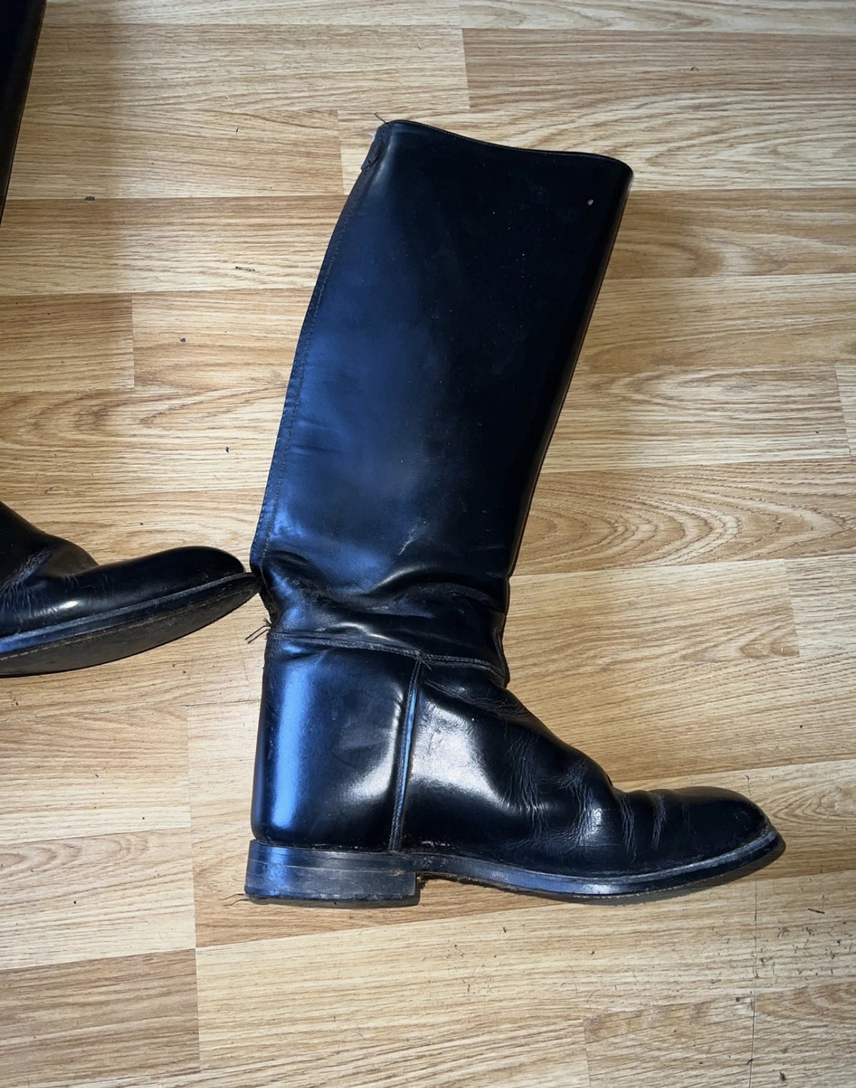 Regent Long Leather Riding Boots - 7 - Hunting Dressage