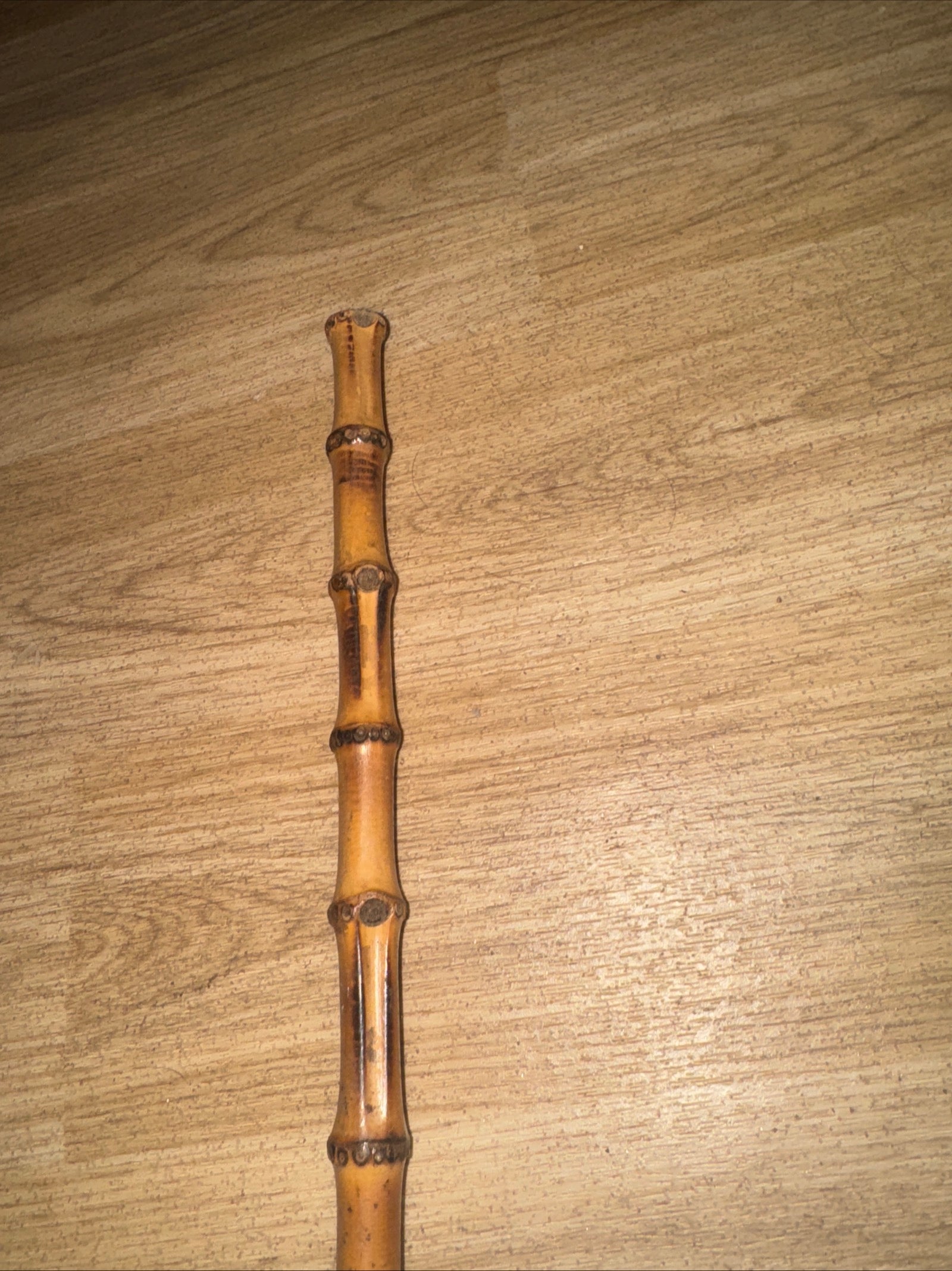Bamboo Showing Cane 52cm