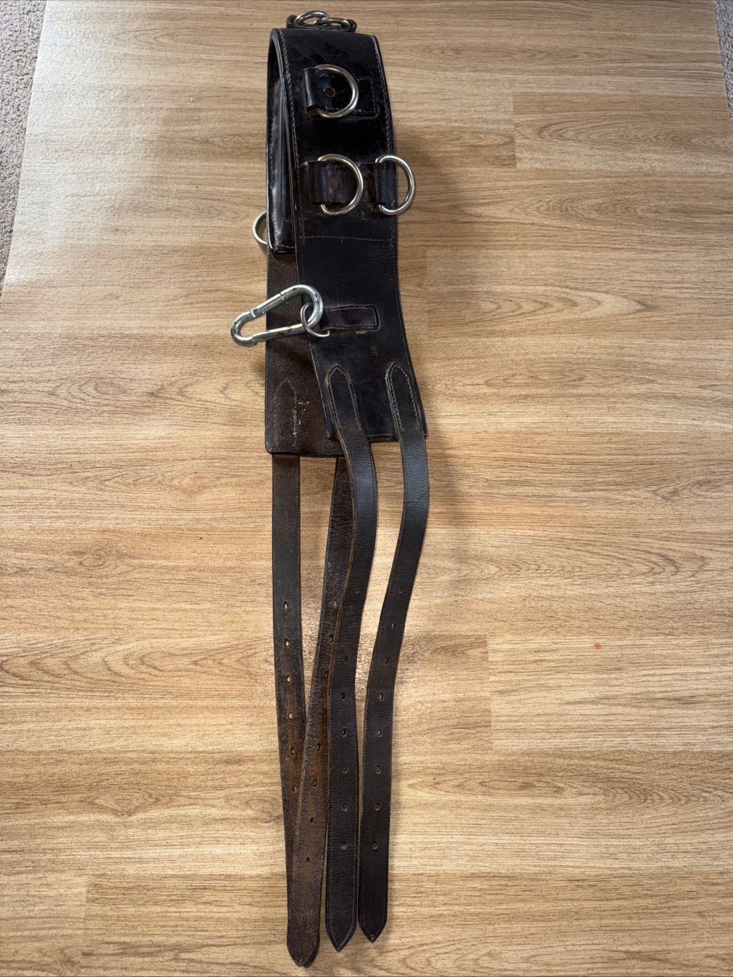 Leather Sturdy Training Lunging Roller Pony Cob Full Horse