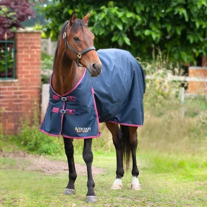 Gallop Trojan 50g Turnout Rug