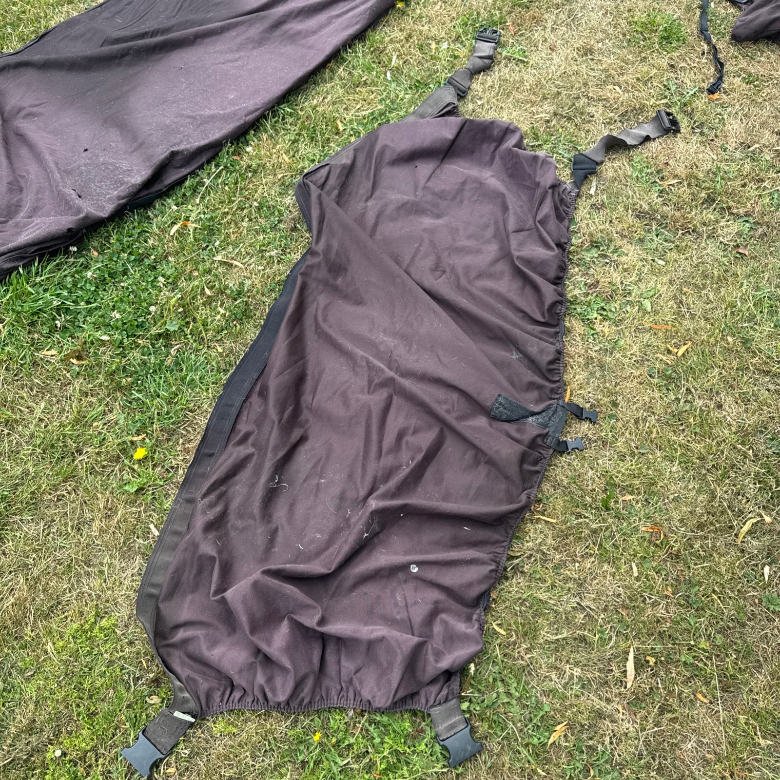Boett Sweetitch Rug Size 6 With Hood Face