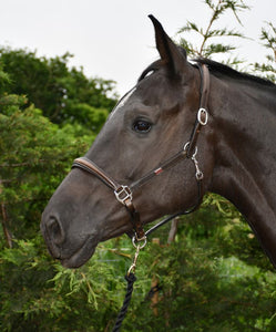 Rhinegold Rocco Italia Verona Leather Headcollar