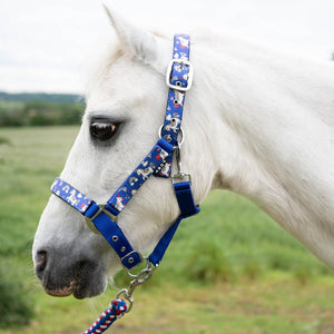 GALLOP UNICORN PADDED HEADCOLLAR WITH MULTI LEAD SET