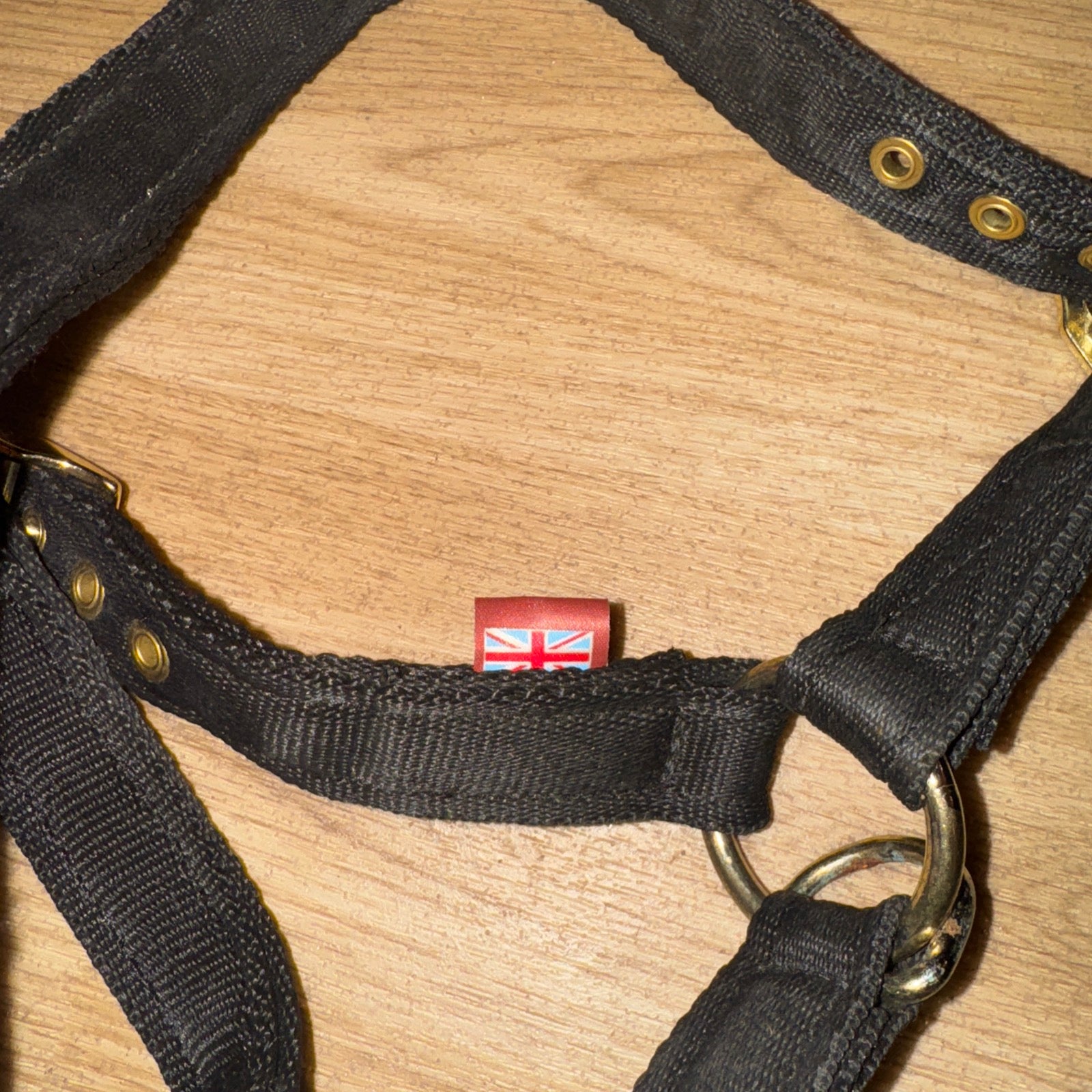 GENUINE Equiami Cob Size Lunging Cavason - FREE Postage