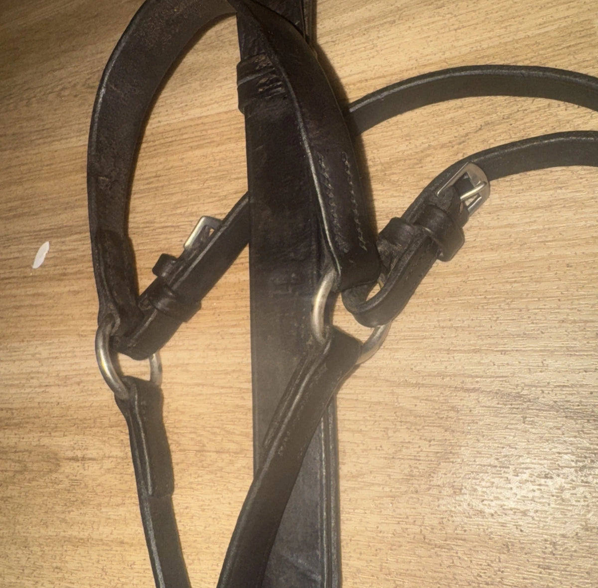 English Leather Full Size Breastplate #5