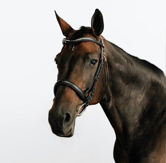 Decathlon Comfort Bling Bridle | Cob Size