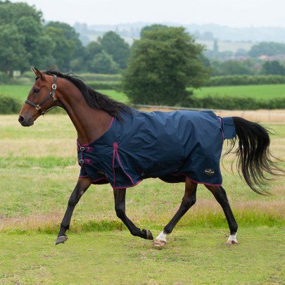 GALLOP TROJAN 50g Turnout RUG 6’9