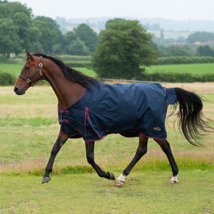 GALLOP TROJAN 50g Turnout RUG 6’9