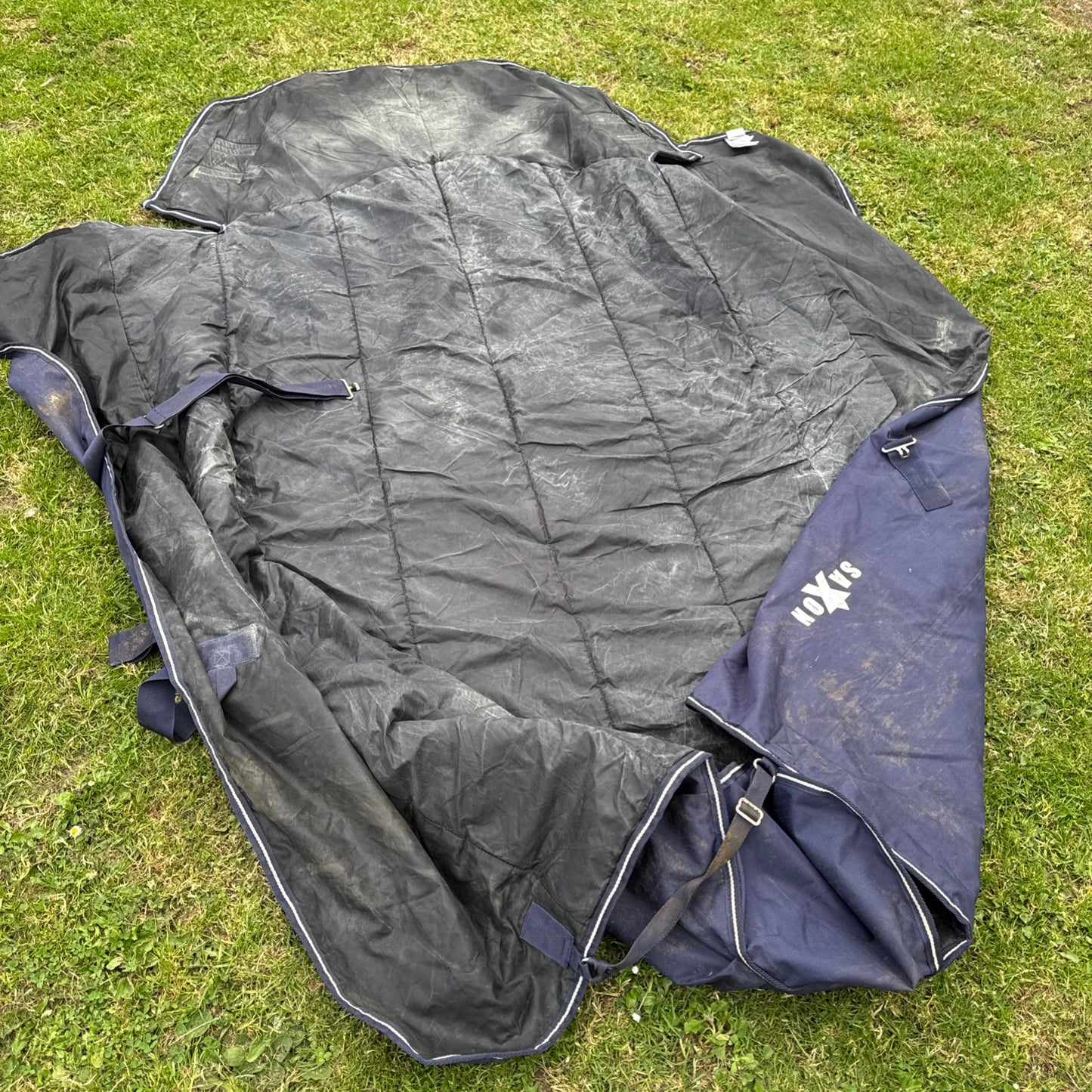 Saxon Size 6’3 200gm Turnout Combo Rug Second Hand Horse Tack