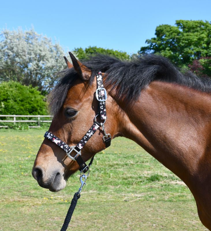Rhinegold Unicorn Padded Headcollar And Matching Lead Rope Set