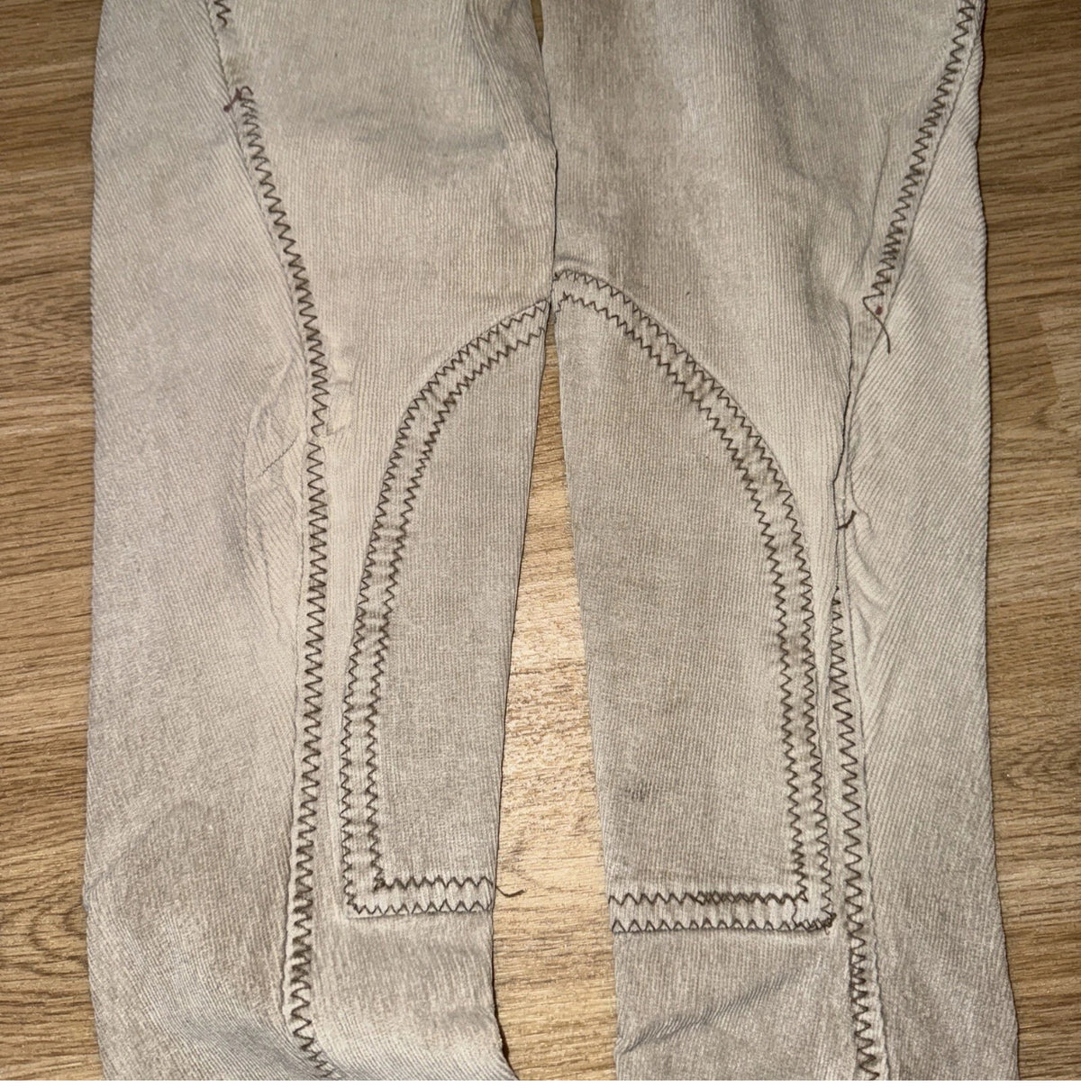 Harry Hall Colorado Cord Ladies 26” Jodphurs