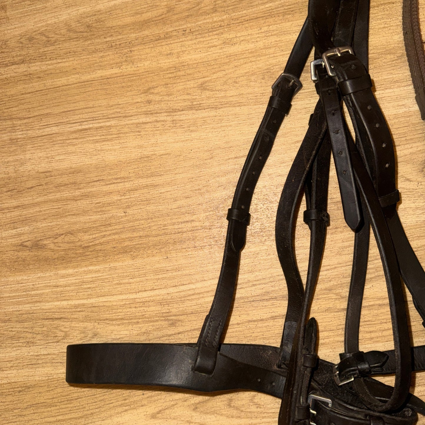 Dark Brown Hunter Bridle Full Size with French Link Snaffle & Reins | English Leather Horse Bridle #43