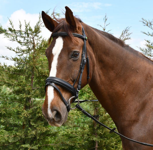 Rhinegold Leather Bridle With Detachable Flash Noseband (Inc Rubber Reins)