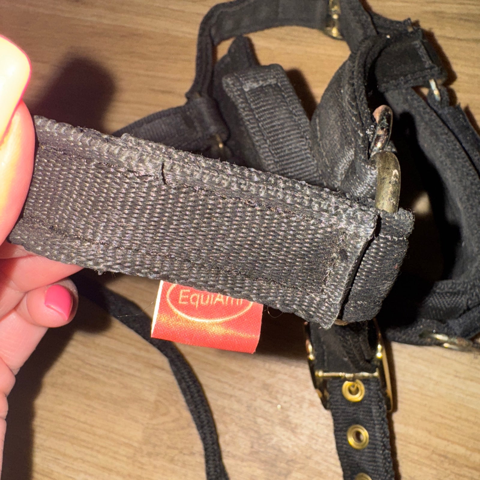 GENUINE Equiami Cob Size Lunging Cavason - FREE Postage
