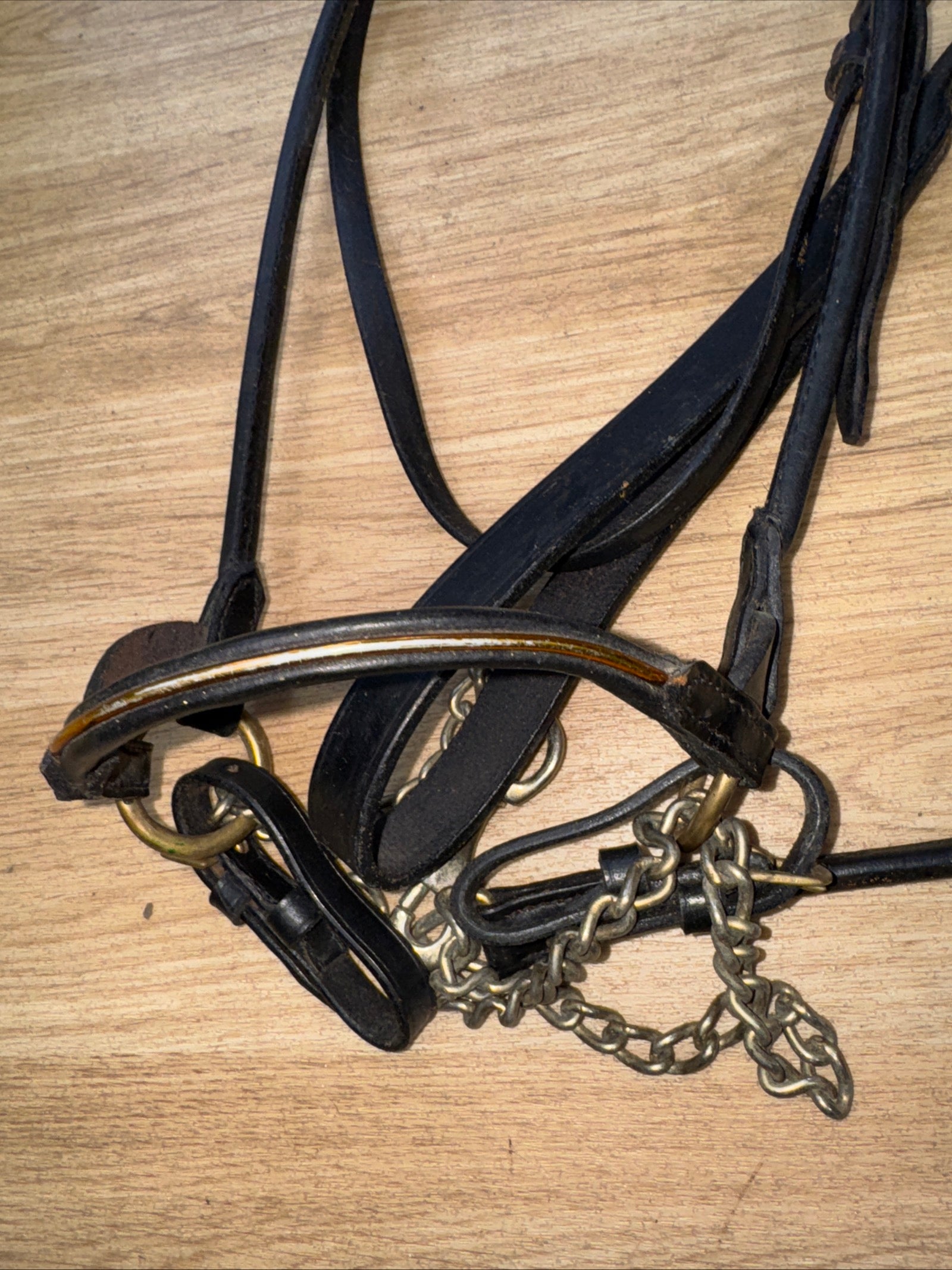 Fine Arab Inhand Bridle - Black Rolled Leather - Free Postage