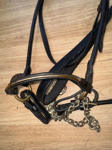 Fine Arab Inhand Bridle - Black Rolled Leather - Free Postage