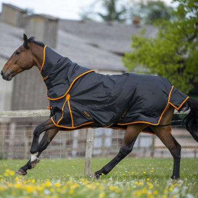 Gallop Dual 100gm Turnout Rug