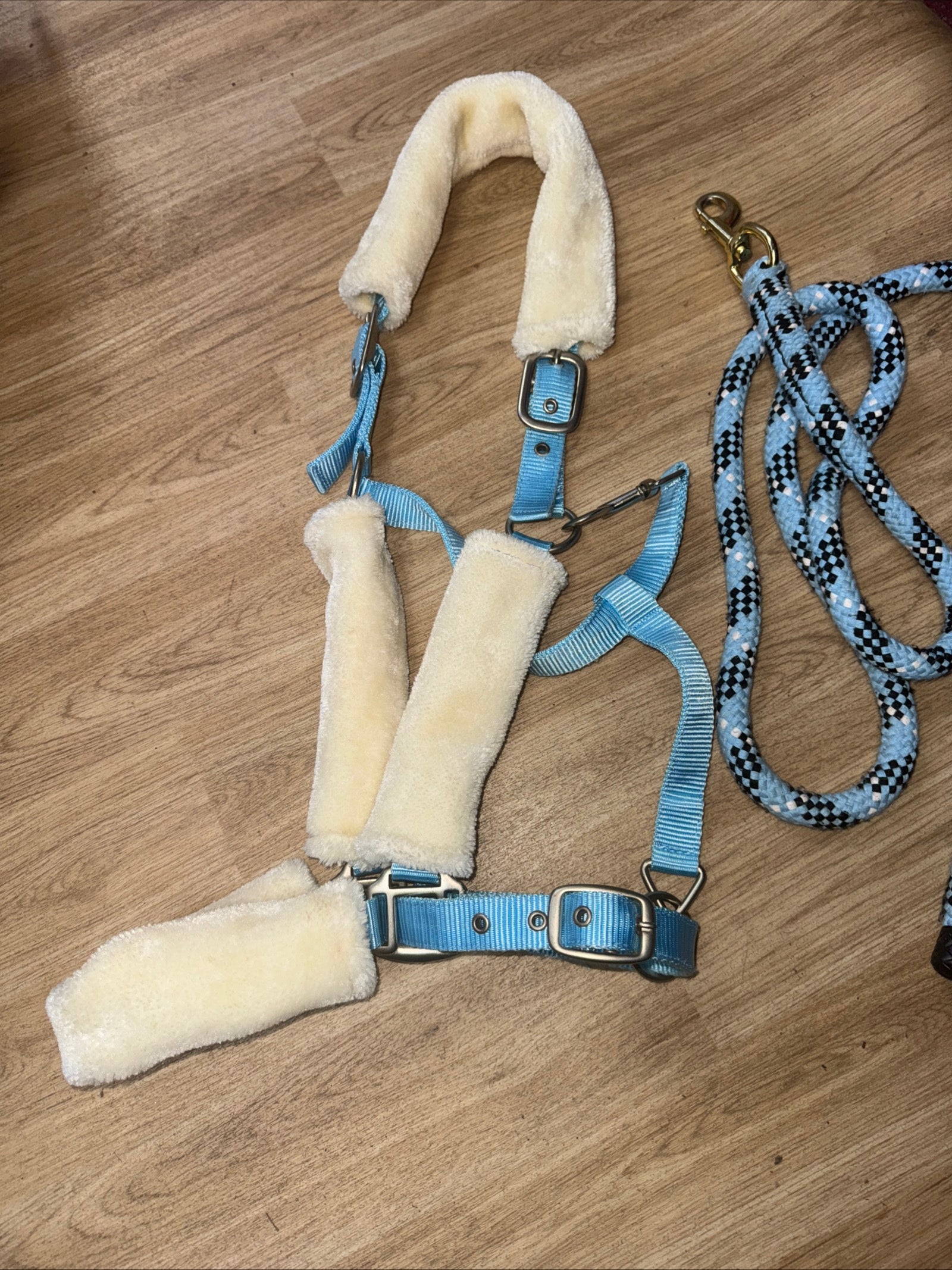 Blue Fluffy XF Headcollar & Leadrope / Free Postage