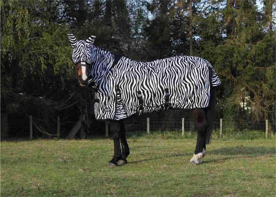 Jump Zebra Fly Rug & Free Mask .
