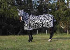 Jump Zebra Fly Rug & Free Mask