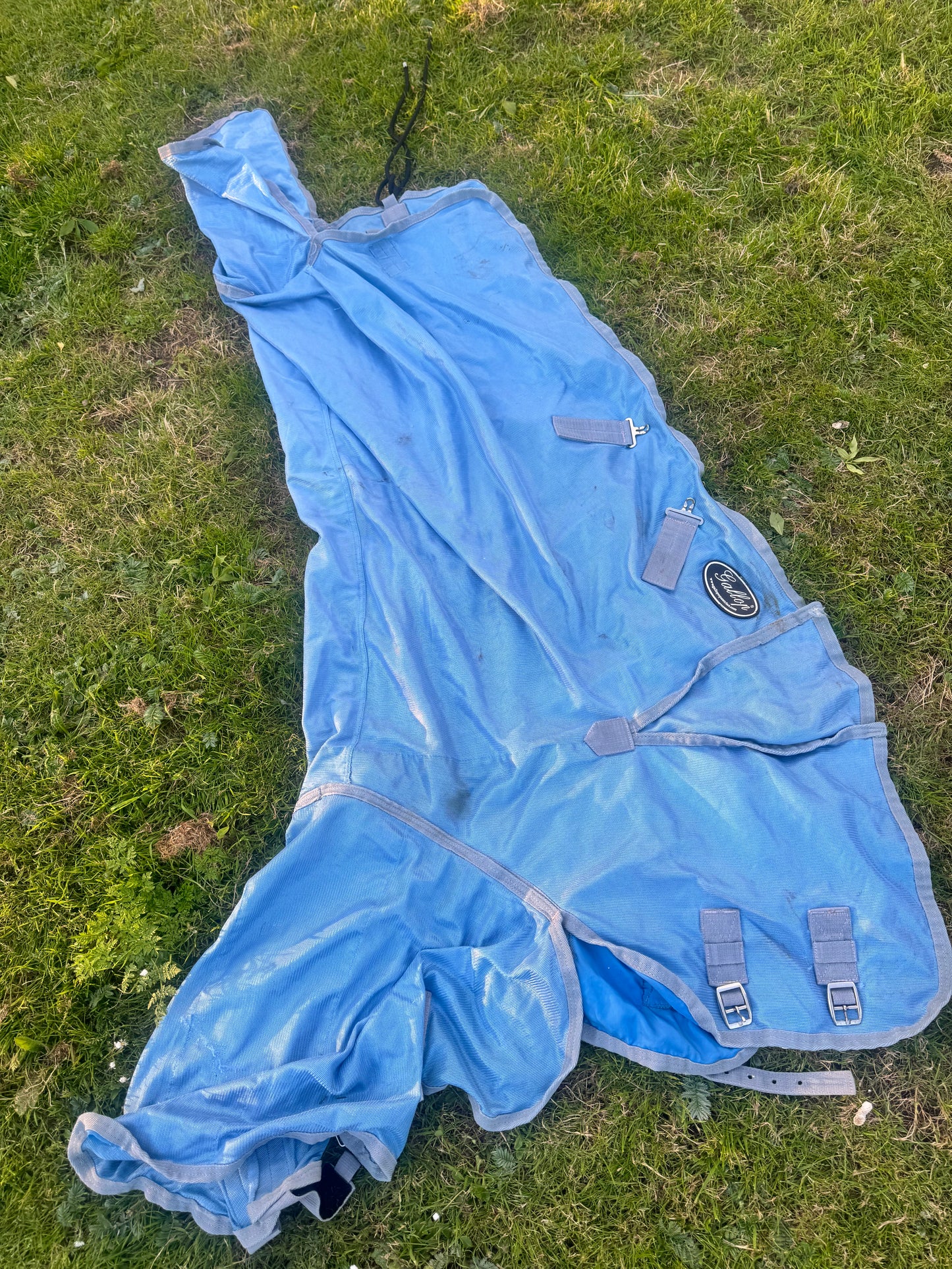 Gallop Blue 5’0 Fly Combo Rug | Second Hand Pony Tack