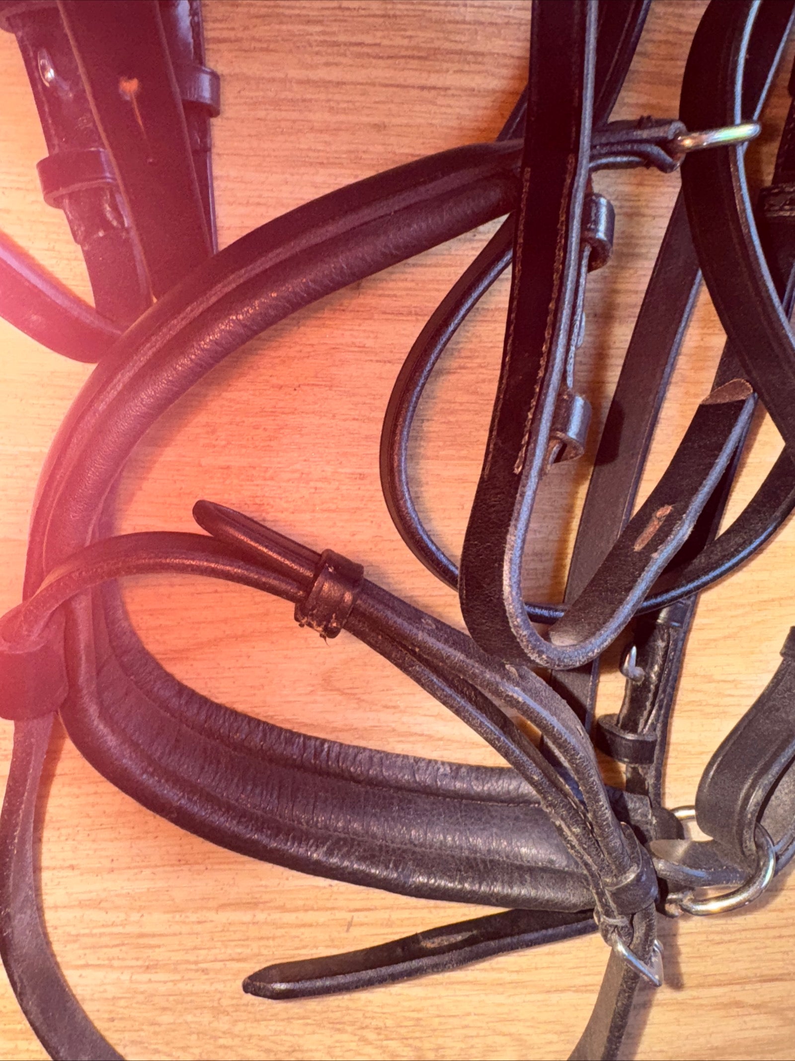 schockemohle Flash Bridle - COB size
