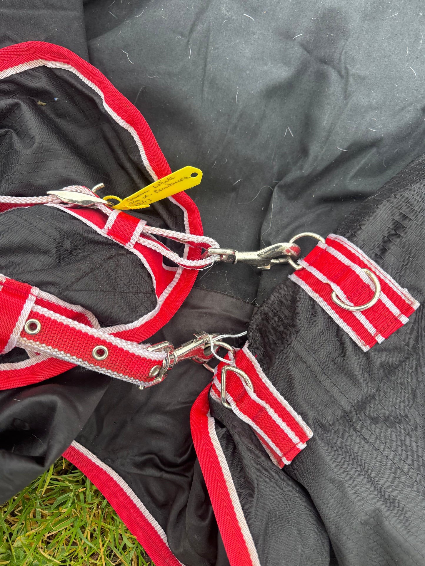 Kadence 6ft No Fill Turnout Rug