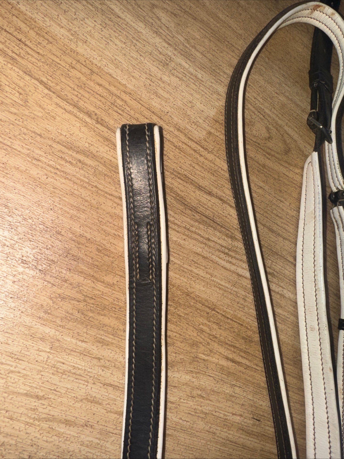 Black W/ White Padding Pony Standing Martingale #23