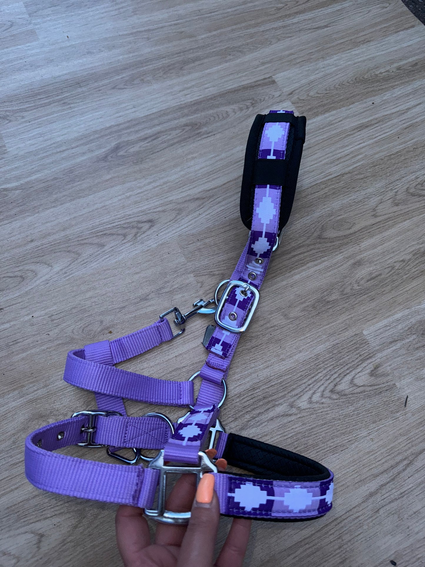 Polo Purple Headcollar