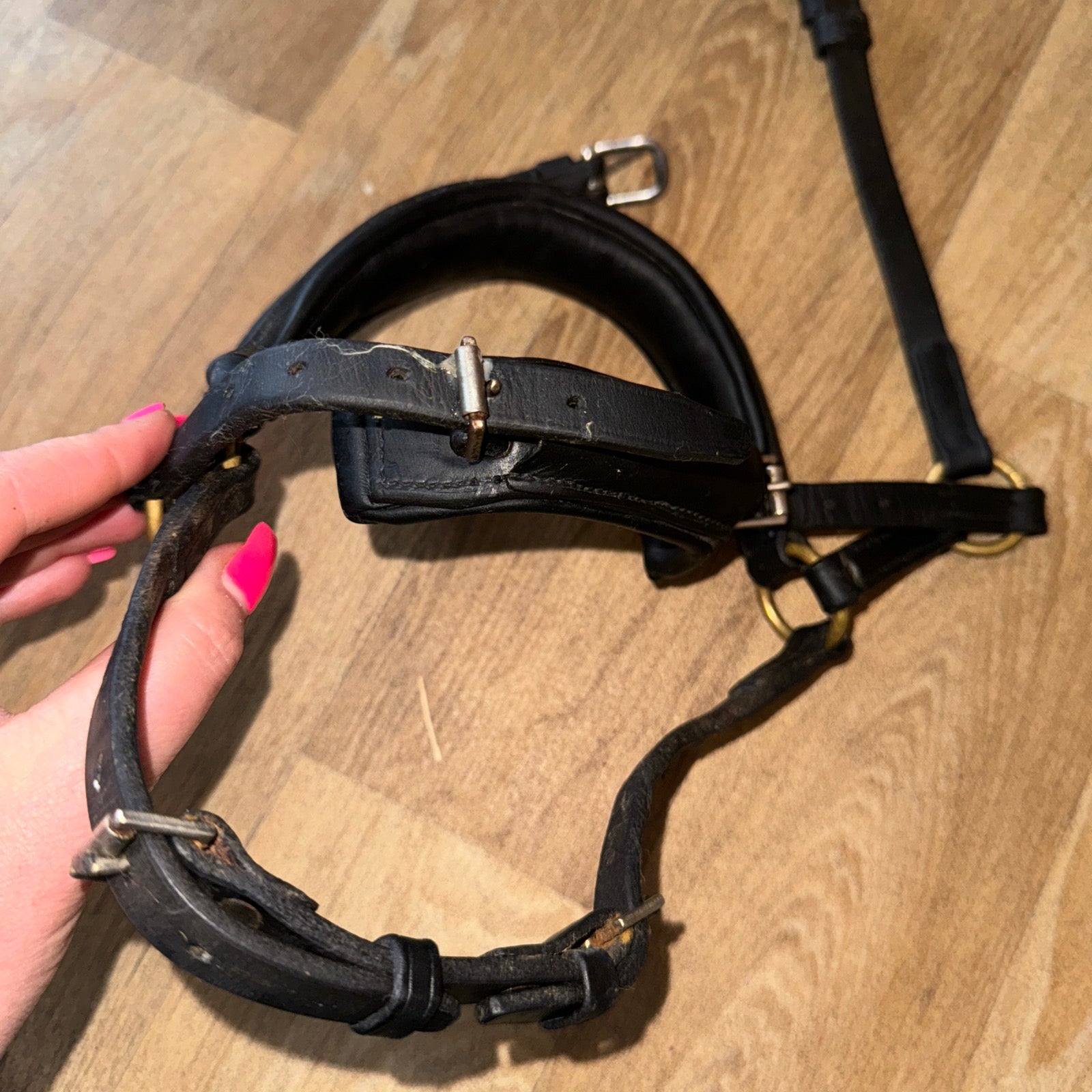 Full Size Spider Noseband - English Double Drop  #100