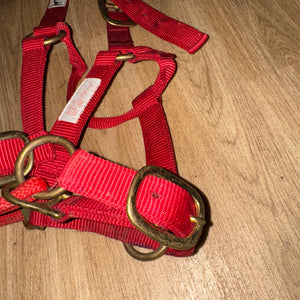 Genuine Original Pony Monty Roberts Dually Headcollar