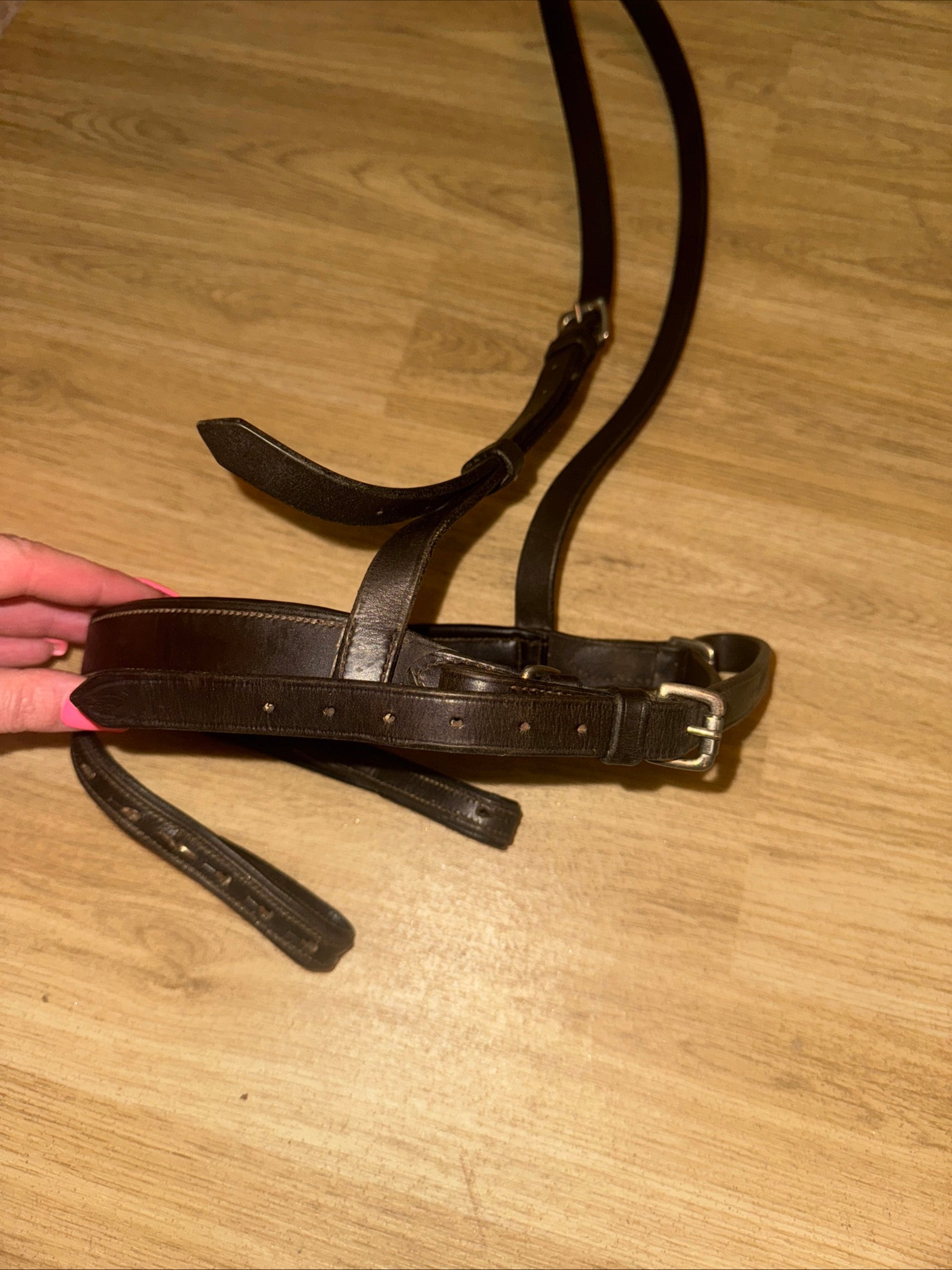 Full Size ENGLISH Brown Worcester Noseband - Free Post