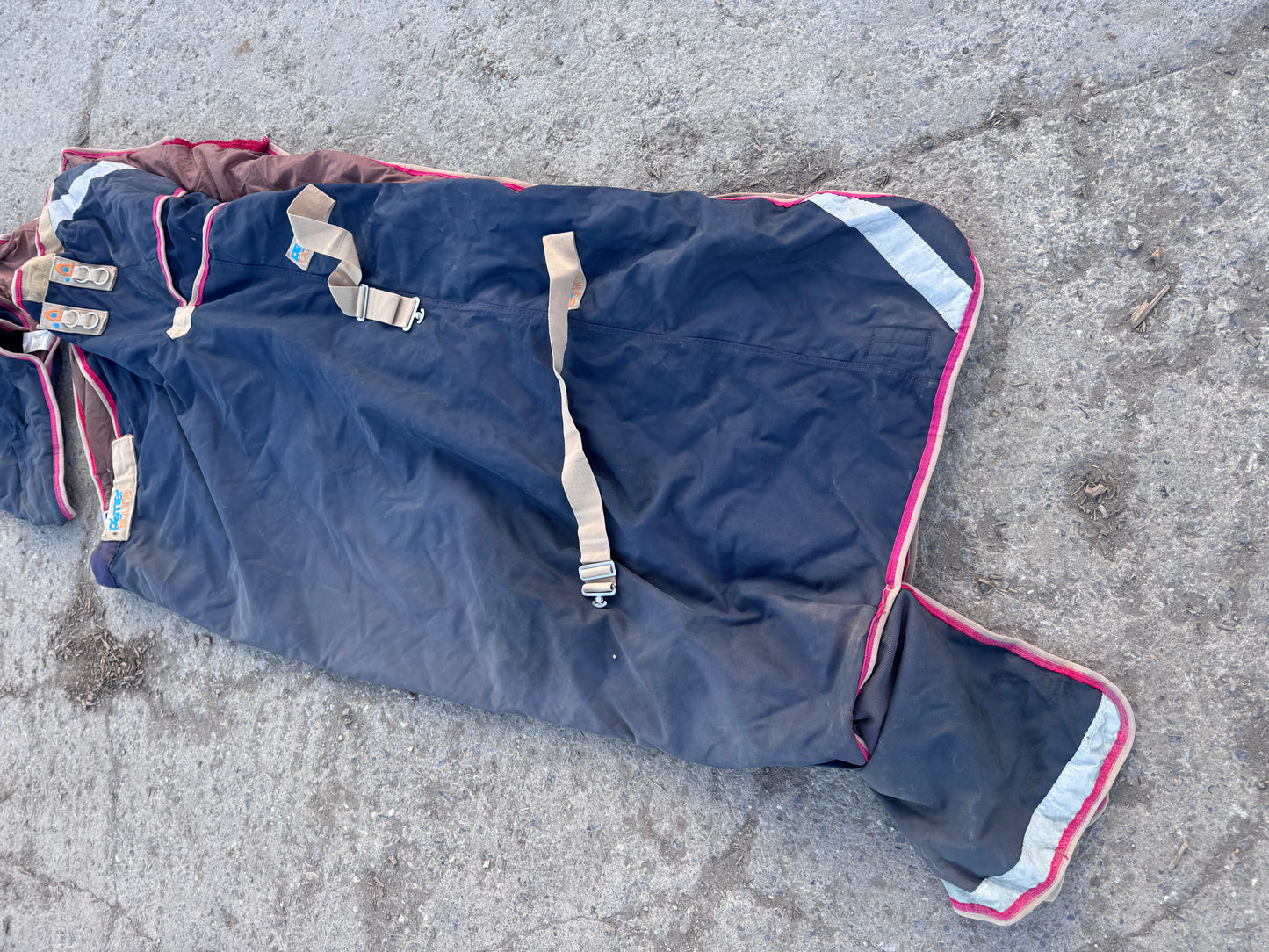Premier Equine 5’9 100gm Turnout Rug & Neck | Buster Tro
