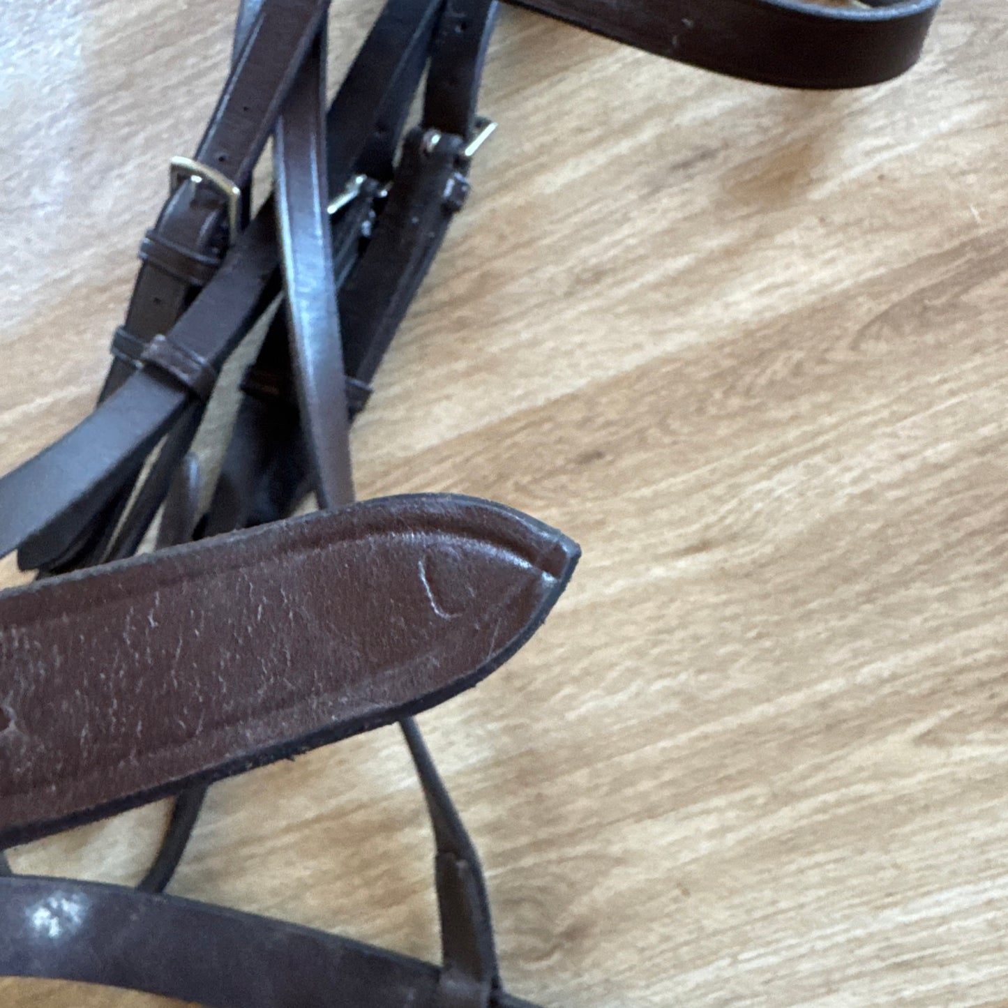 Bridleway Brown Size Cob Hunter Bridle Show Hunt Everyday #11