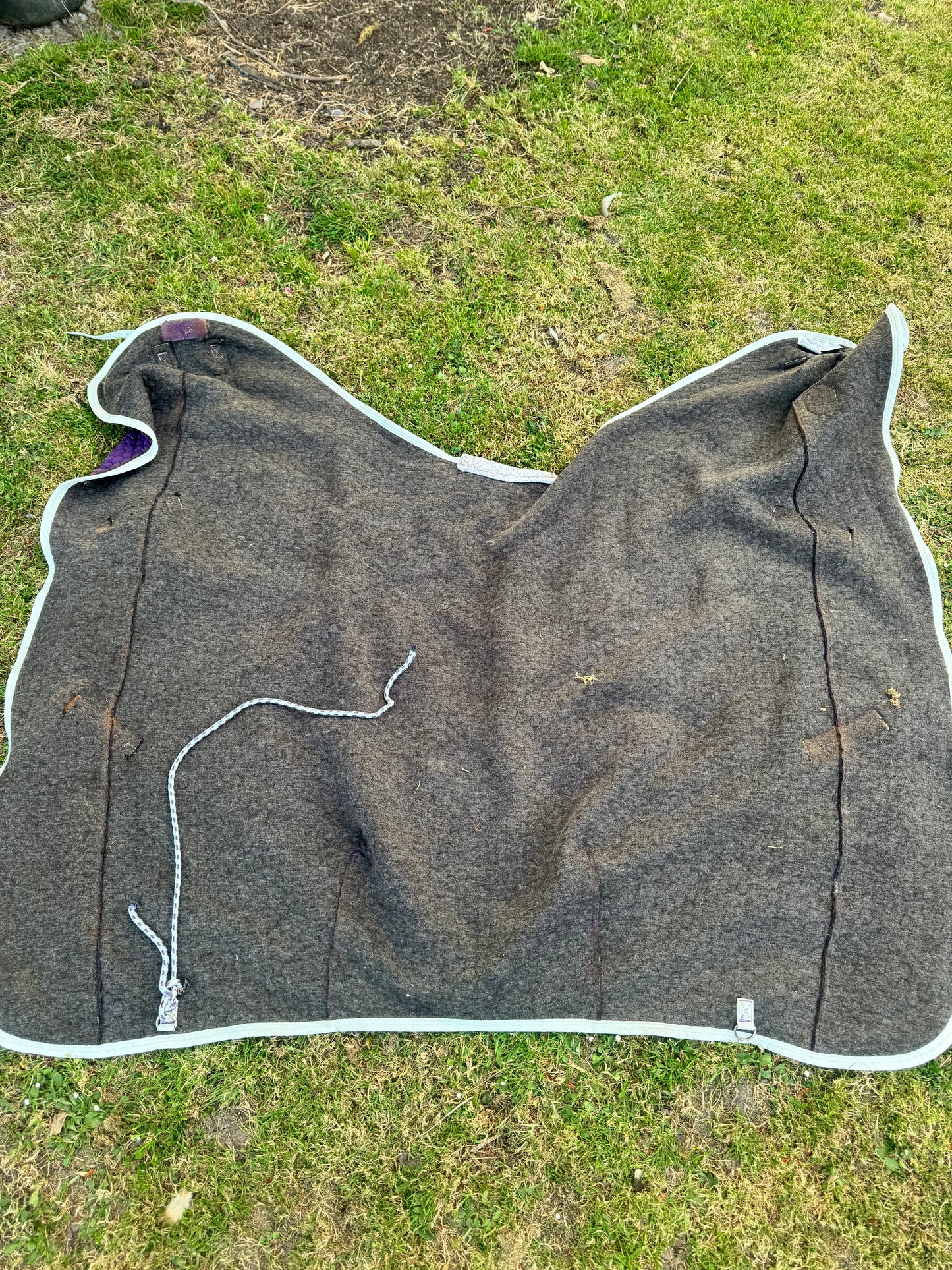 Weatherbeeta 6’0 Wick Away Thermo Cell Rug Like Thermatex Colin Cook Horse Tack
