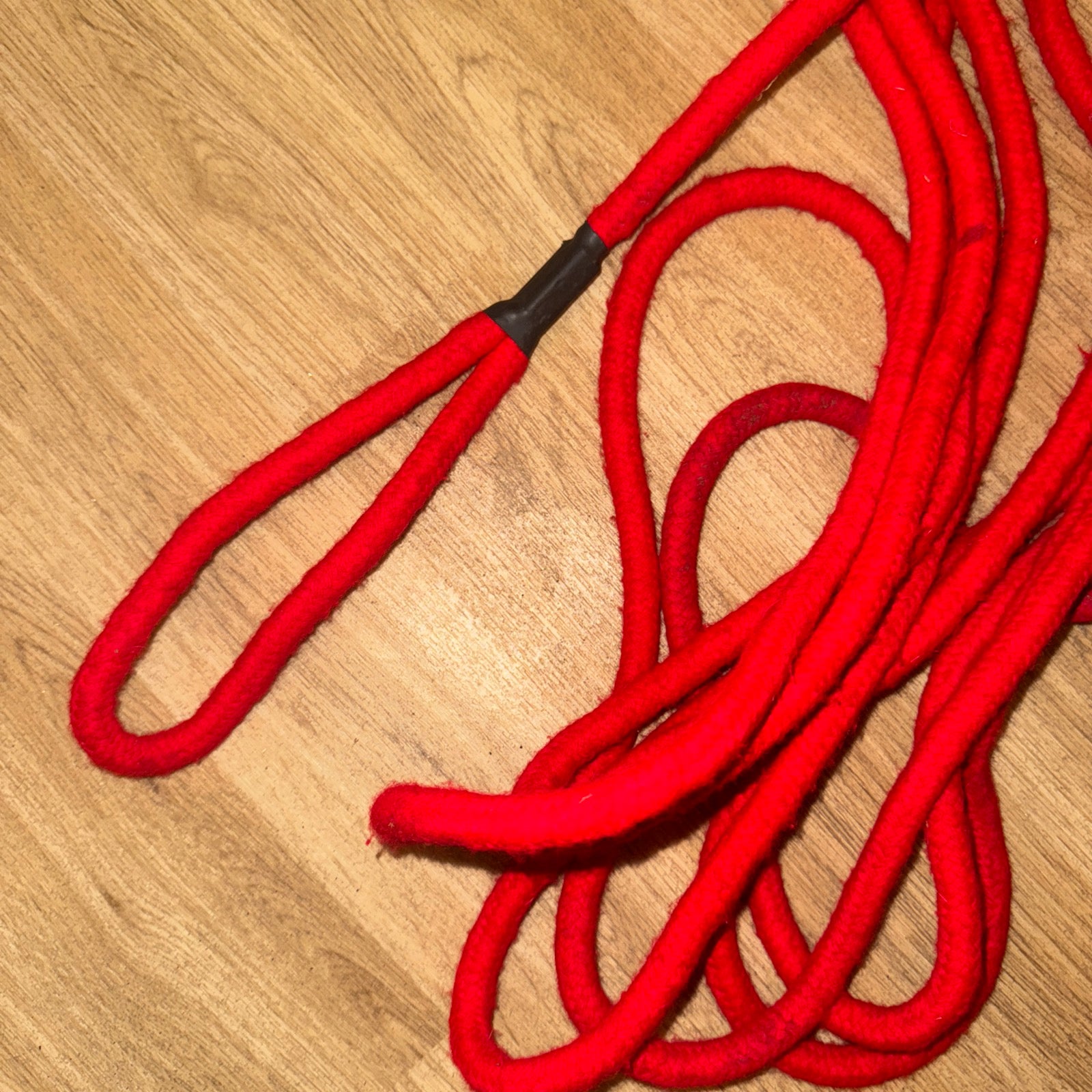 Red Natural Horsemanship Rope Line - Lunge Line