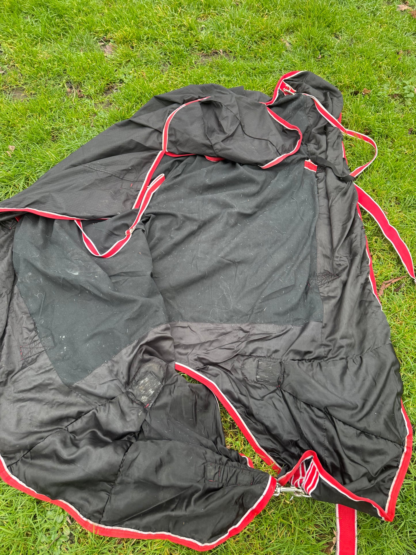Kadence 6ft No Fill Turnout Rug