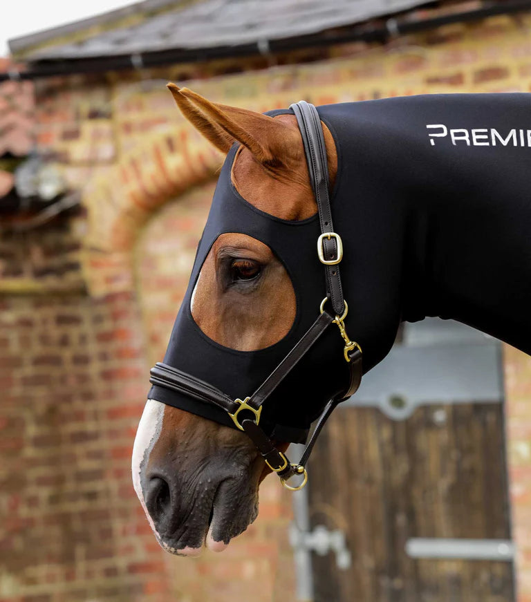 Premier Equine Lycra Hood