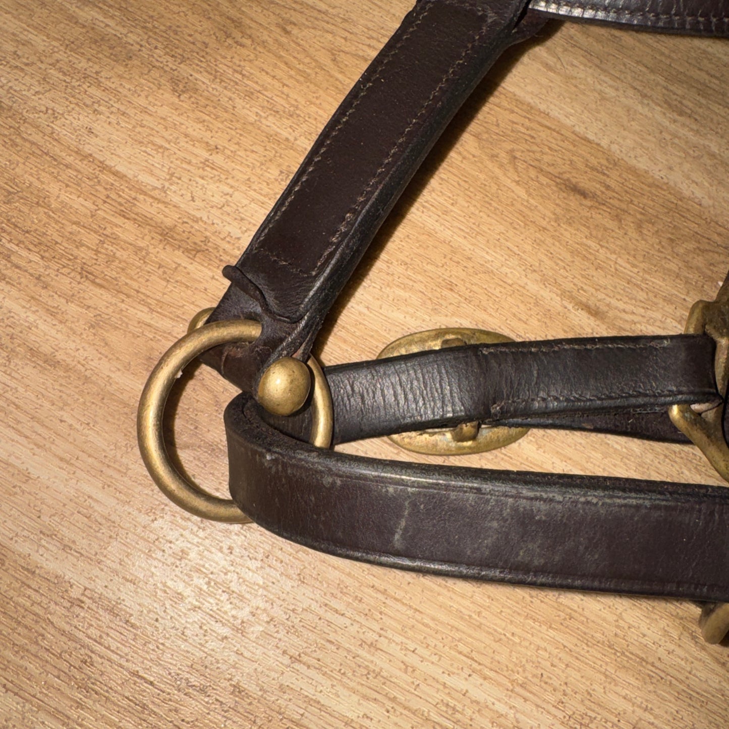 Havana English Leather Heavy Duty Cob Headcollar Brass Replaceable Nameplate