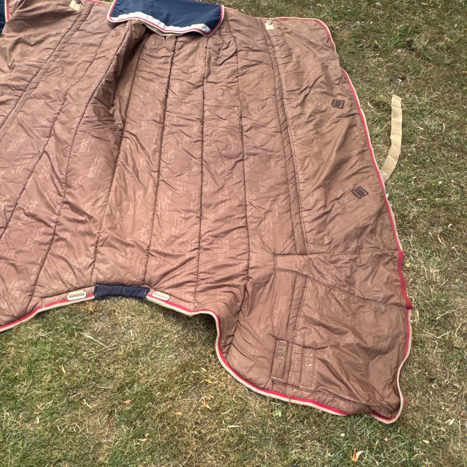 Premier Equine Winter Buster 7’3 450gm Turnout Rug