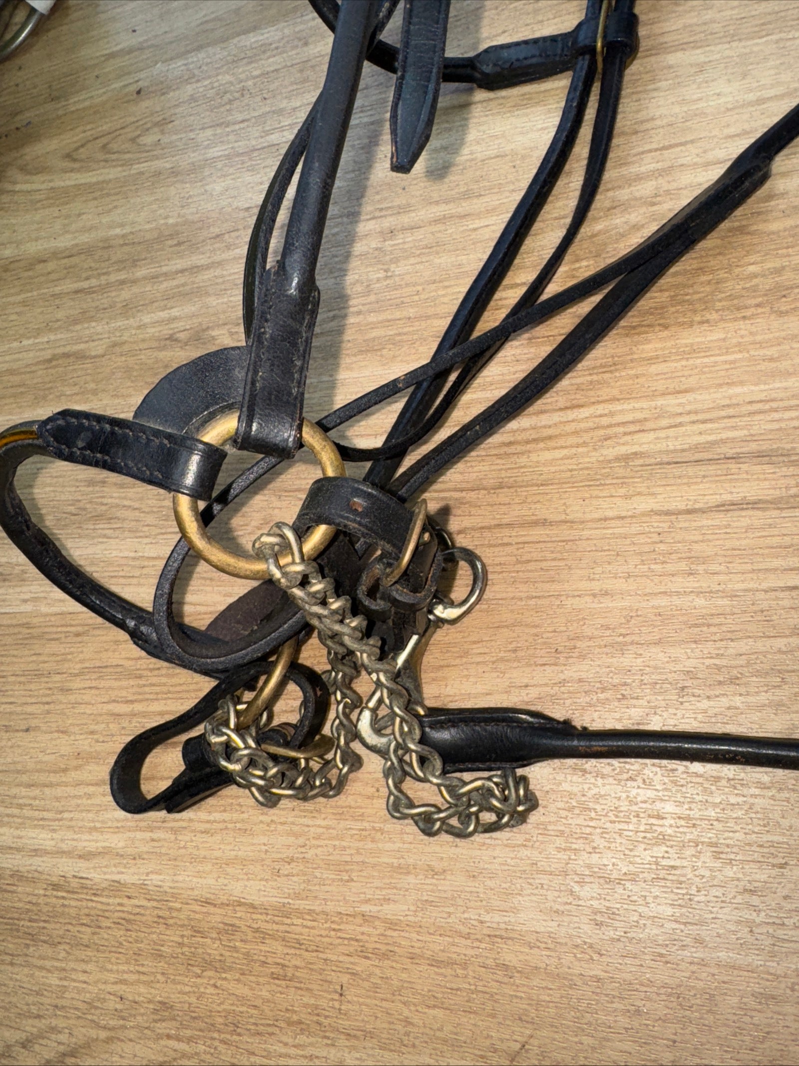 Fine Arab Inhand Bridle - Black Rolled Leather - Free Postage