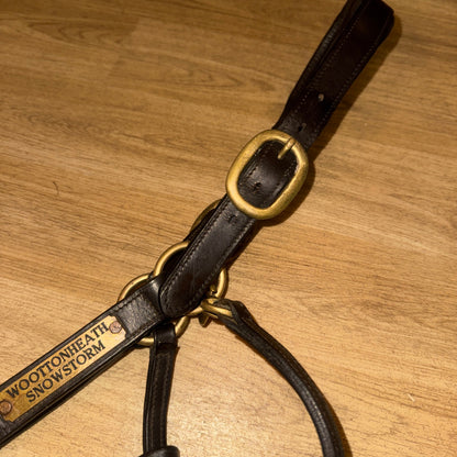 Havana English Leather Heavy Duty Cob Headcollar Brass Replaceable Nameplate