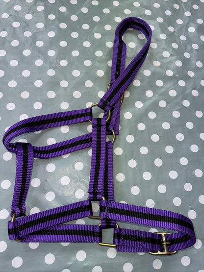 Purple New Cob Headcollar