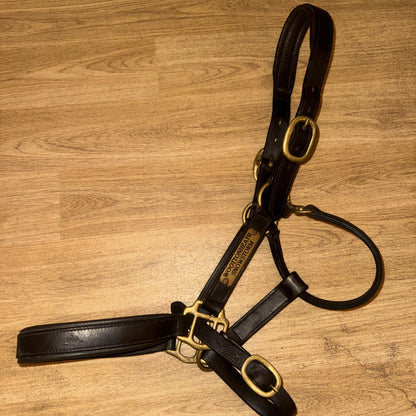 Havana English Leather Heavy Duty Cob Headcollar Brass Replaceable Nameplate
