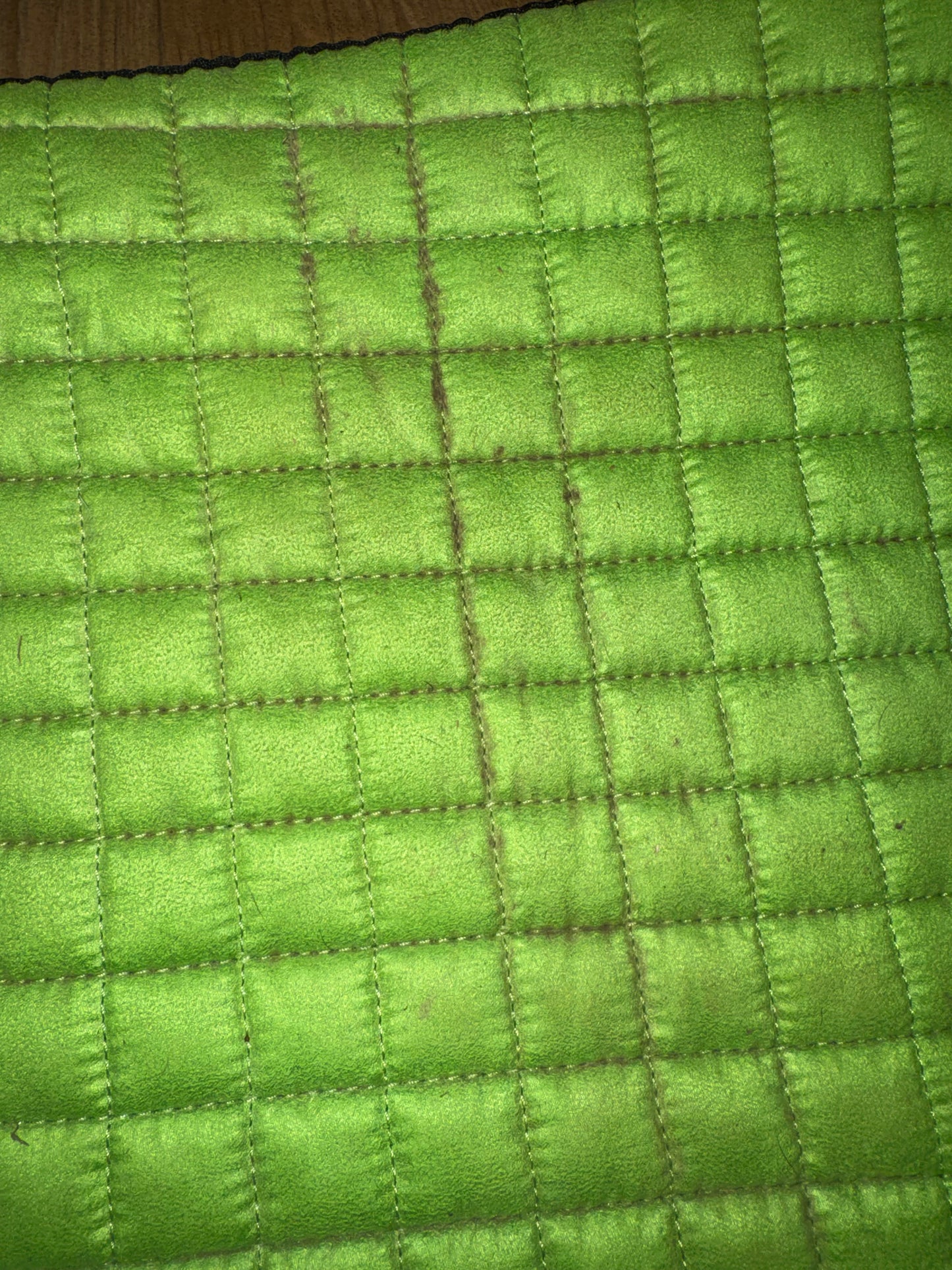 Lemieux Lime Green Dressage Square Saddle Pad | Size Large
